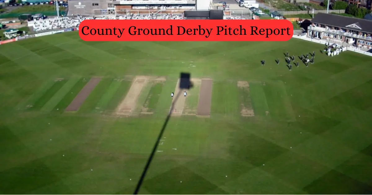 County Ground Derby Pitch Report